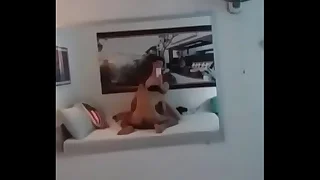 2130 suck porn videos